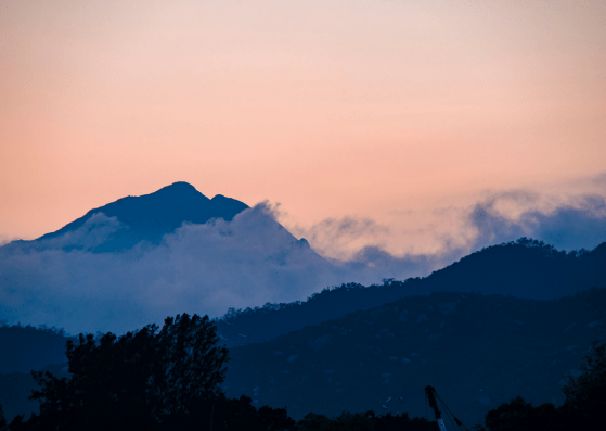 Untitled design (23)