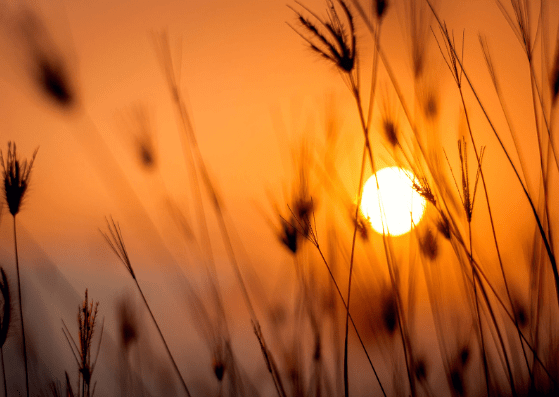 Untitled design (69)