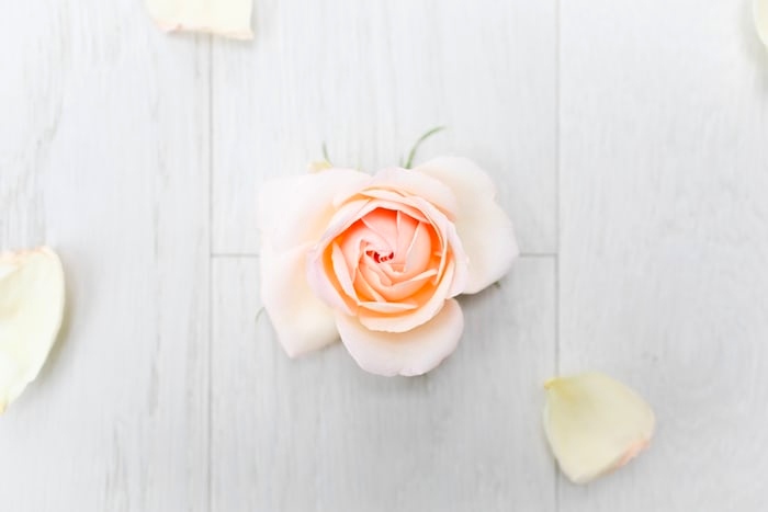 Kamli – Liberated In&nbsp;Love