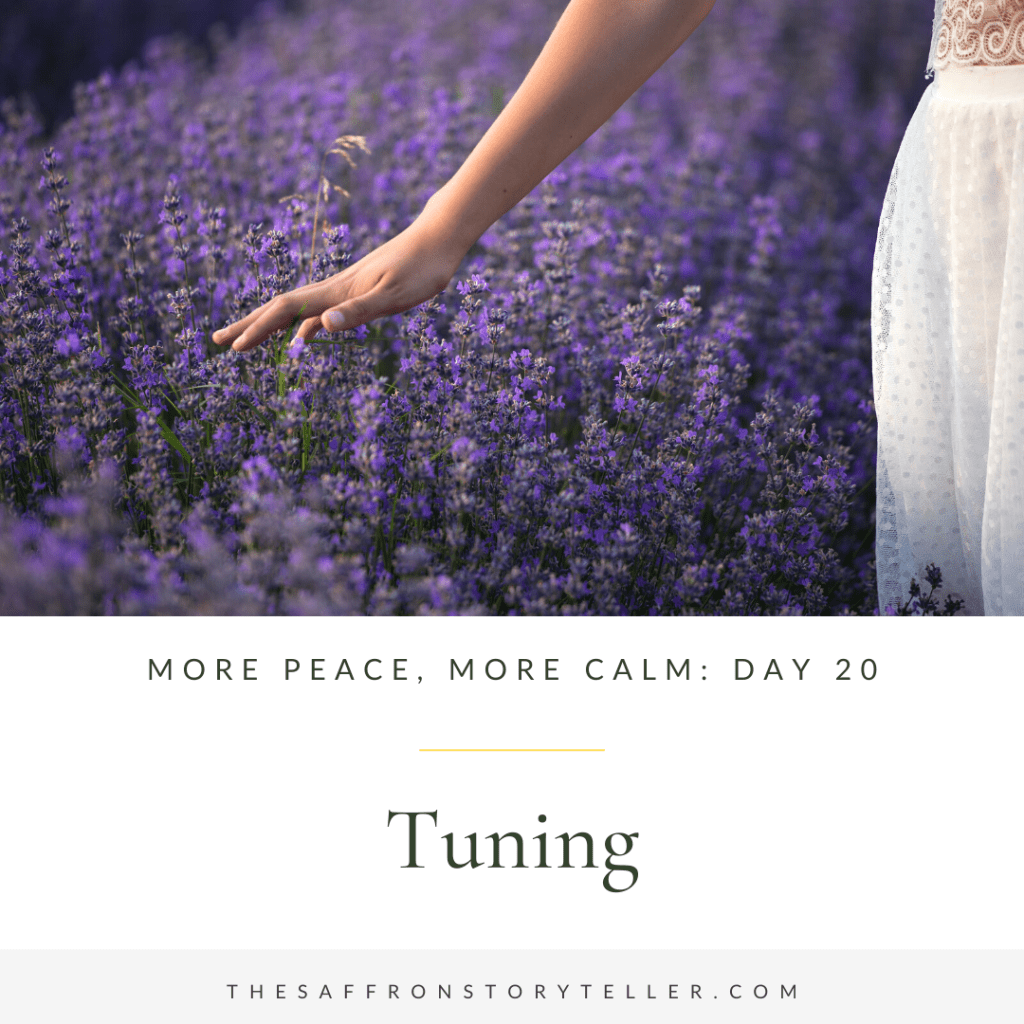 Tuning into your SENSES for finding the inner&nbsp;calm