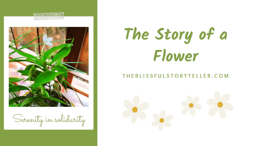 The Story of a Flower