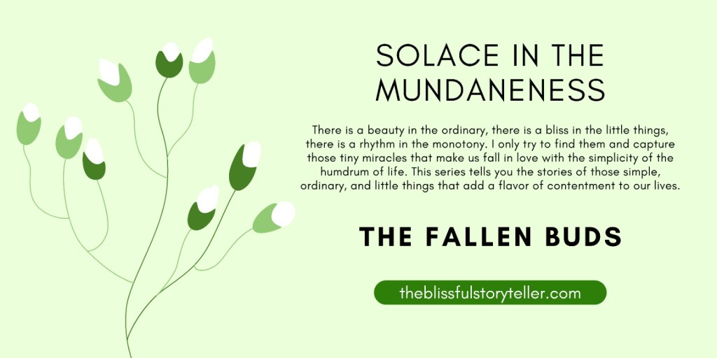 Solace in the Mundaneness – The Fallen&nbsp;Buds