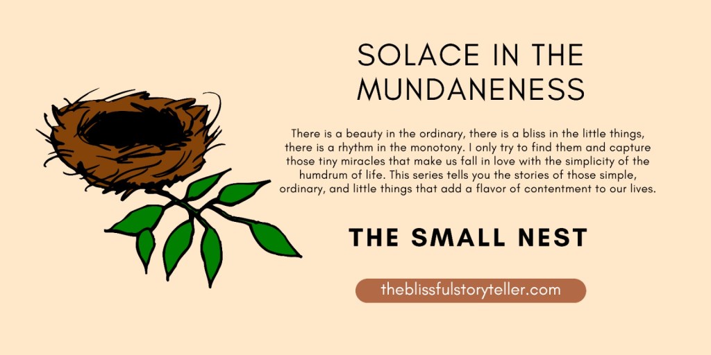 Solace in the Mundaneness – The Small&nbsp;Nest