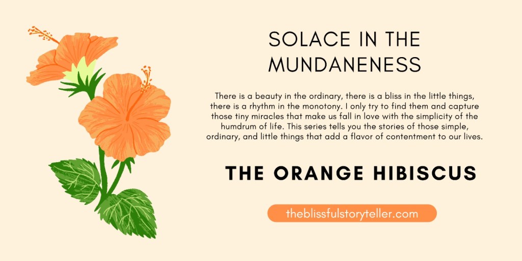 Solace in the Mundaneness – The Orange&nbsp;Hibiscus