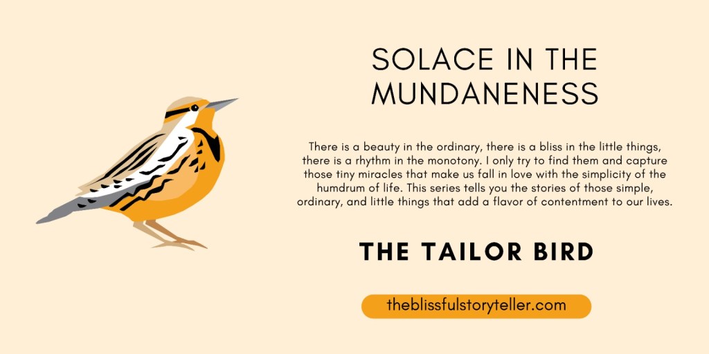Solace in the Mundaneness – The Tailor&nbsp;Bird